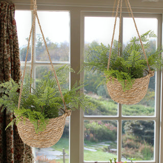 2x Pflanzkorb zum Aufhängen S:Ø22x15cm; M:Ø25x18cm Kunstofffolien-Inlay Korbset Rohrkolbengras Hängekorb Korb