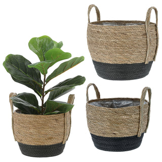 Pflanzkorb 3er Set Rohrkolbengras S:20x25x20cm; M23x28x23cm; L:26x31x26cm Kunstofffolien-Inlay Übertopf Körbe Korbset Pflanztopf