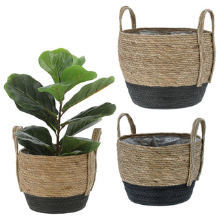 Pflanzkorb 3er Set Rohrkolbengras S:20x25x20cm; M23x28x23cm; L:26x31x26cm Kunstofffolien-Inlay Übertopf Körbe Korbset Pflanztopf