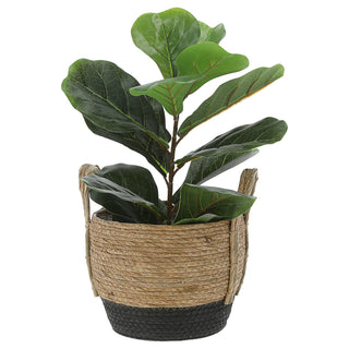 Pflanzkorb 3er Set Rohrkolbengras S:20x25x20cm; M23x28x23cm; L:26x31x26cm Kunstofffolien-Inlay Übertopf Körbe Korbset Pflanztopf