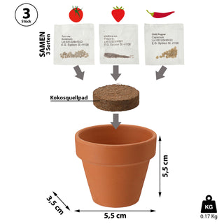Anzuchttöpfe Ton 3er Set 5,5x5,5x3,5cm Samen Kokosquellpad Tomate Erdbeere Chilli Pflanzsamen