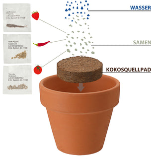 Anzuchttöpfe Ton 3er Set 5,5x5,5x3,5cm Samen Kokosquellpad Tomate Erdbeere Chilli Pflanzsamen
