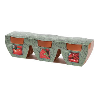 Anzuchttöpfe Ton 3er Set 5,5x5,5x3,5cm Samen Kokosquellpad Tomate Erdbeere Chilli Pflanzsamen