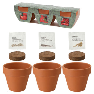 Anzuchttöpfe Ton 3er Set 5,5x5,5x3,5cm Samen Kokosquellpad Tomate Erdbeere Chilli Pflanzsamen