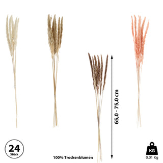 24x Pampasgras 4 Farben Dekogras H65-75 cm Trockenblume Wedel Kunstgras