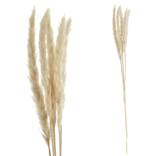 24x Pampasgras 4 Farben Dekogras H65-75 cm Trockenblume Wedel Kunstgras