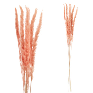 24x Pampasgras 4 Farben Dekogras H65-75 cm Trockenblume Wedel Kunstgras