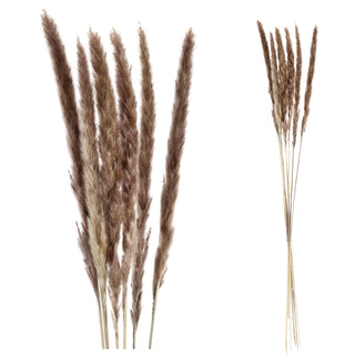 24x Pampasgras 4 Farben Dekogras H65-75 cm Trockenblume Wedel Kunstgras