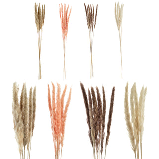 24x Pampasgras 4 Farben Dekogras H65-75 cm Trockenblume Wedel Kunstgras