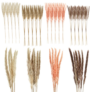 24x Pampasgras 4 Farben Dekogras H65-75 cm Trockenblume Wedel Kunstgras
