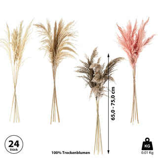 24x Pampasgras 4 Farben Dekogras H65-75 cm Trockenblume Wedel Kunstgras