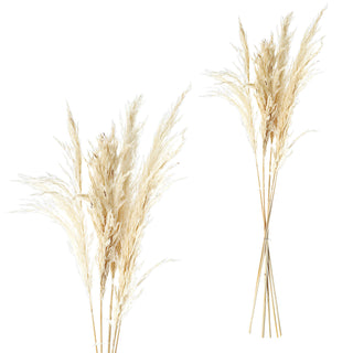 24x Pampasgras 4 Farben Dekogras H65-75 cm Trockenblume Wedel Kunstgras