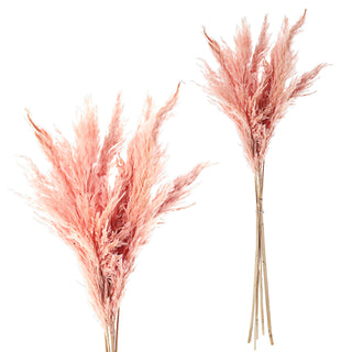 24x Pampasgras 4 Farben Dekogras H65-75 cm Trockenblume Wedel Kunstgras