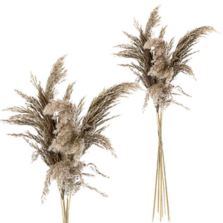 24x Pampasgras 4 Farben Dekogras H65-75 cm Trockenblume Wedel Kunstgras