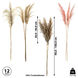 Pampasgras 12er Set 4 Farben Dekogras H90-100cm Trockenblume Wedel Kunstgras