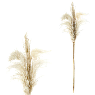 Pampasgras 12er Set 4 Farben Dekogras H90-100cm Trockenblume Wedel Kunstgras