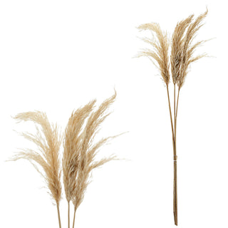 Pampasgras 12er Set 4 Farben Dekogras H90-100cm Trockenblume Wedel Kunstgras