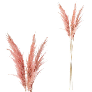 Pampasgras 12er Set 4 Farben Dekogras H90-100cm Trockenblume Wedel Kunstgras