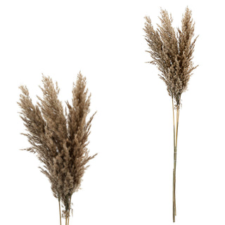 Pampasgras 12er Set 4 Farben Dekogras H90-100cm Trockenblume Wedel Kunstgras