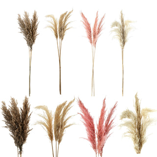 Pampasgras 12er Set 4 Farben Dekogras H90-100cm Trockenblume Wedel Kunstgras