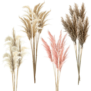 Pampasgras 12er Set 4 Farben Dekogras H90-100cm Trockenblume Wedel Kunstgras