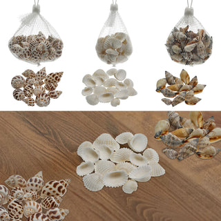 Muscheln gemischt Netz 3er Set ca. 300 gr. Muschelmix Naturprodukt maritim Dekomuscheln Schnecken
