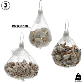 Muscheln gemischt Netz 3er Set ca. 300 gr. Muschelmix Naturprodukt maritim Dekomuscheln Schnecken