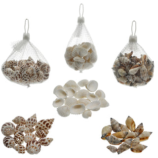 Muscheln gemischt Netz 3er Set ca. 300 gr. Muschelmix Naturprodukt maritim Dekomuscheln Schnecken