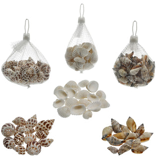 Muscheln gemischt Netz 3er Set ca. 300 gr. Muschelmix Naturprodukt maritim Dekomuscheln Schnecken