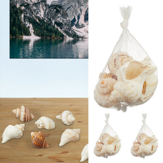 Muscheln gemischt Netz 3er Set ca.450 gr. Muschelmix Naturprodukt maritim Dekomuscheln Schnecken