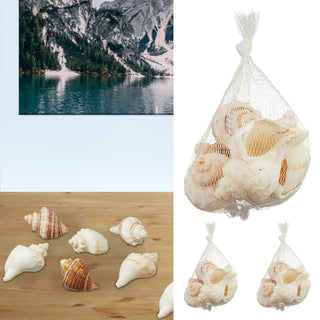 Muscheln gemischt Netz 3er Set ca.450 gr. Muschelmix Naturprodukt maritim Dekomuscheln Schnecken