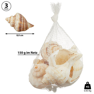 Muscheln gemischt Netz 3er Set ca.450 gr. Muschelmix Naturprodukt maritim Dekomuscheln Schnecken