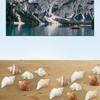 Muscheln gemischt Netz 3er Set ca.450 gr. Muschelmix Naturprodukt maritim Dekomuscheln Schnecken