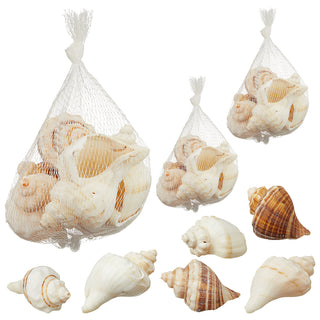 Muscheln gemischt Netz 3er Set ca.450 gr. Muschelmix Naturprodukt maritim Dekomuscheln Schnecken