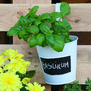 3x Übertopf weiß Ø15xH15cm Kräutertopf zum Aufhängen und Beschriften Blumentopf Blechtopf Topf Hängetopf