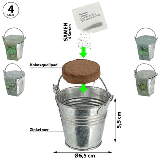 Kräutersamen 4er Set Zinkeimer Henkel Kokosquellpad Basilikum Petersilie Dill Schnittlauch Kräutergarten