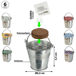 Blumensamen 6er Set Zinkeimer Kokosquellpad Samen Sonnenblumen Vergissmeinnicht Glücksklee Margerite  Brennende Liebe Lavendel