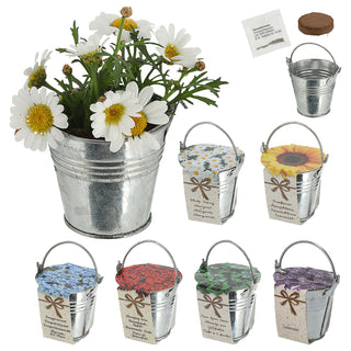 Blumensamen 6er Set Zinkeimer Kokosquellpad Samen Sonnenblumen Vergissmeinnicht Glücksklee Margerite  Brennende Liebe Lavendel