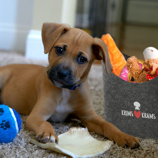 Aufbewahrungskorb "Pfote" Hundespielzeug Aufdruck 34x32x22cm hellgrau Hund Ordnungskorb Filzbox