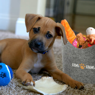 Aufbewahrungskorb "Pfote" Hundespielzeug Aufdruck 34x32x22cm hellgrau Hund Ordnungskorb Filzbox