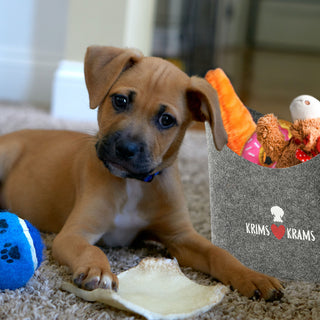 Aufbewahrungskorb "Pfote" Hundespielzeug Aufdruck 34x32x22cm hellgrau Hund Ordnungskorb Filzbox