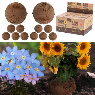 Saatbomben 12er Set 2fach sortiert Wildblumen Sonnenblumen Blumensamen Saatgut