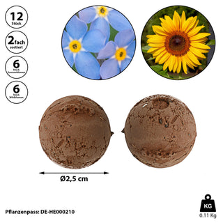 Saatbomben 12er Set 2fach sortiert Wildblumen Sonnenblumen Blumensamen Saatgut