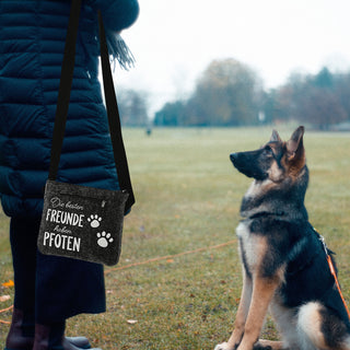 Hunde Leckerli Tasche Spruch "Pfote"/"BestFriends" hellgrau/anthrazit 22,5x19x1,5cm