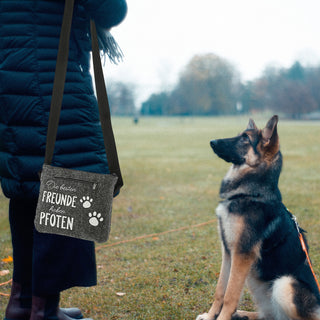 Hunde Leckerli Tasche Spruch "Pfote"/"BestFriends" hellgrau/anthrazit 22,5x19x1,5cm