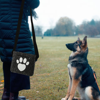 Hunde Leckerli Tasche Spruch "Pfote"/"BestFriends" hellgrau/anthrazit 22,5x19x1,5cm