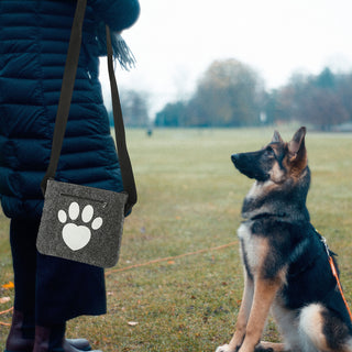 Hunde Leckerli Tasche Spruch "Pfote"/"BestFriends" hellgrau/anthrazit 22,5x19x1,5cm