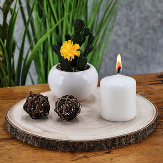 Baumscheibe 25x26x2cm Paulownia Holzscheibe Naturprodukt Scheibe Holz Holzplatte Dekoelement