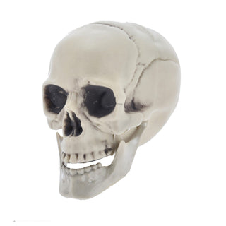 Totenkopf zum Aufstellen Kunststoff 15x15x18cm Totenschädel Horrordekoration Skelettkopf Dekoschädel Knockenoptik Halloweendeko