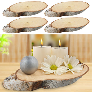 Holzscheibe Birke 4er Set 29x14x2,5cm Naturprodukt Scheibe Holz Holzplatte Dekoelement